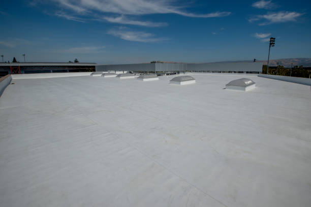 Best Solar Panel Roofing Installation  in North Lakeport, CA