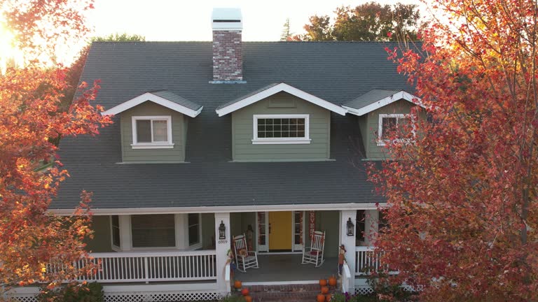 Best Roof Moss and Algae Removal  in North Lakeport, CA