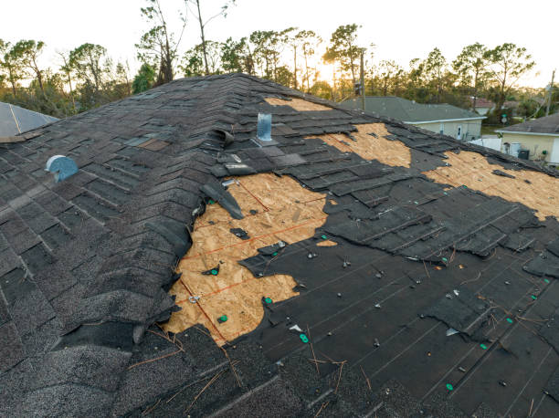 Best Metal Roofing Installation  in North Lakeport, CA